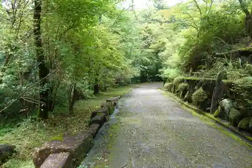 石山寺の自然