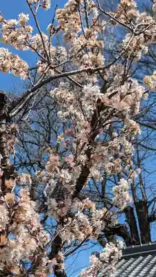 玉田神社(京都府)