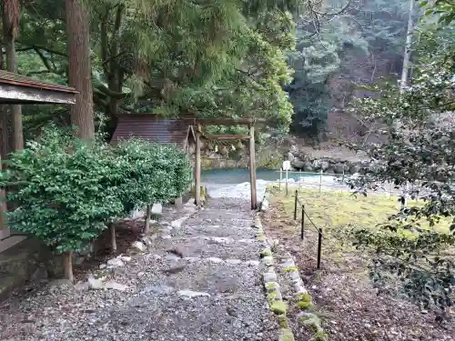 白石神社（若狭彦神社境外末社）の{uncategorized: "未分類", other: "その他", undefined: "問題あり", building: "その他建物", grave: "お墓", sacred_gate: "鳥居", guardian: "狛犬", statue: "像", buddha: "仏像", history: "歴史", nature: "自然", garden: "庭園", animal: "動物", pagoda: "塔", temizu: "手水舎", mountain_gate: "山門・神門", sanctuary: "本殿・本堂", subordinate: "末社・摂社", art: "芸術", scenery: "景色", jizo: "地蔵", ema: "絵馬", goshuin: "御朱印", omikuji: "おみくじ", items: "授与品その他", amulet: "お守り", goshuincho: "御朱印帳", eats: "食事", festival: "お祭り", votive_dance: "神楽", shichigosan: "七五三参", wedding: "結婚式", experience: "体験その他", initially: "初詣", around: "周辺", anti_infection: "感染症対策"}