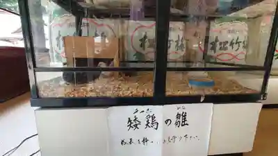 大崎八幡宮(宮城県)