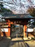 清善寺の山門・神門