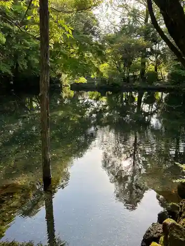 富士山本宮浅間大社(静岡県)
