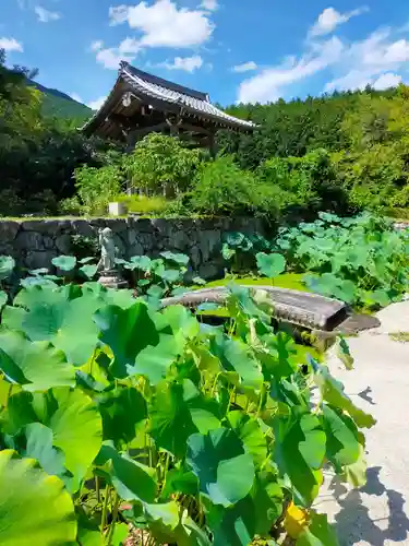 橋本院(奈良県)