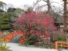 賀茂御祖神社（下鴨神社）の建物その他