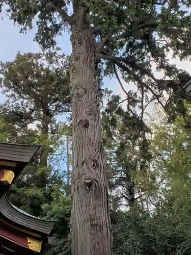 越木岩神社の自然