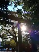 上知我麻神社(熱田神宮摂社)の鳥居
