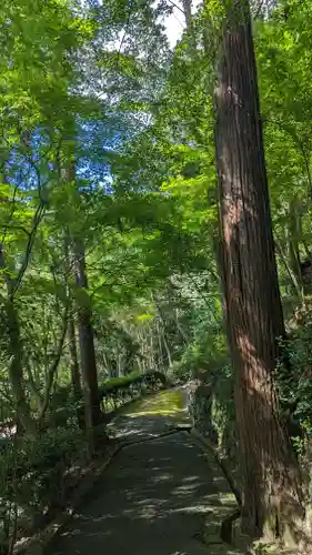 善峯寺(京都府)