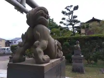 八坂神社の狛犬