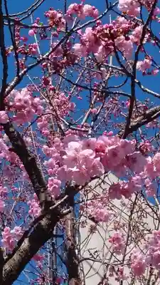 寛永寺(根本中堂)(東京都)