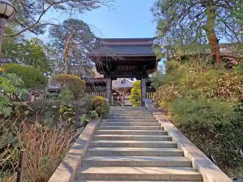 高幡不動尊　金剛寺の山門