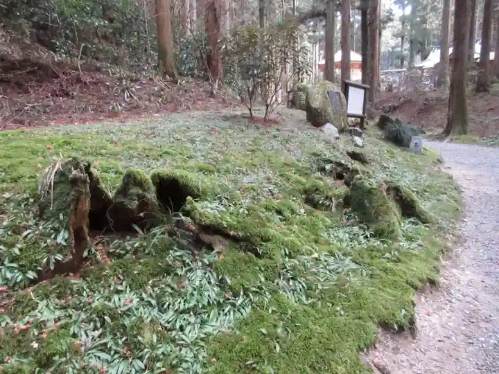 御岩神社の自然