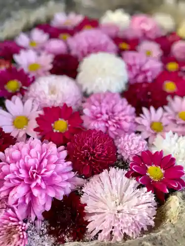 伊達神社の手水舎