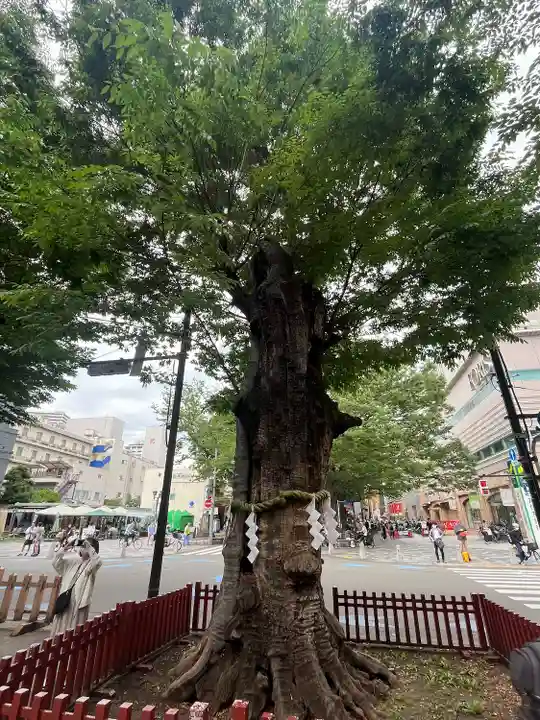 大國魂神社(東京都)