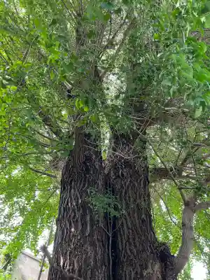 堤治神社(愛知県)