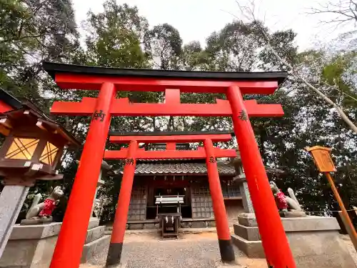 大神神社の{uncategorized: "未分類", other: "その他", undefined: "問題あり", building: "その他建物", grave: "お墓", sacred_gate: "鳥居", guardian: "狛犬", statue: "像", buddha: "仏像", history: "歴史", nature: "自然", garden: "庭園", animal: "動物", pagoda: "塔", temizu: "手水舎", mountain_gate: "山門・神門", sanctuary: "本殿・本堂", subordinate: "末社・摂社", art: "芸術", scenery: "景色", jizo: "地蔵", ema: "絵馬", goshuin: "御朱印", omikuji: "おみくじ", items: "授与品その他", amulet: "お守り", goshuincho: "御朱印帳", eats: "食事", festival: "お祭り", votive_dance: "神楽", shichigosan: "七五三参", wedding: "結婚式", experience: "体験その他", initially: "初詣", around: "周辺", anti_infection: "感染症対策"}