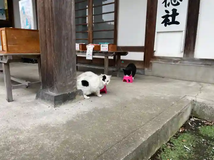 今市報徳二宮神社(栃木県)
