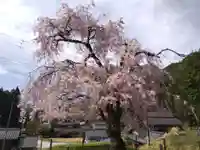 常照皇寺(京都府)