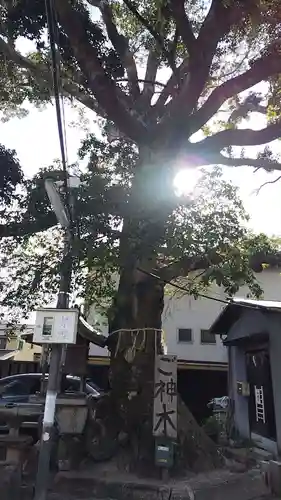 櫟谷七野神社(京都府)