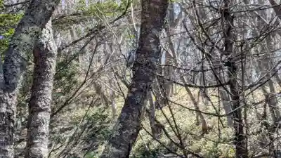 別保神社の動物