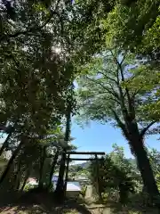 八坂神社(神奈川県)