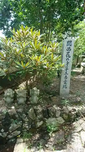 高照寺のその他建物