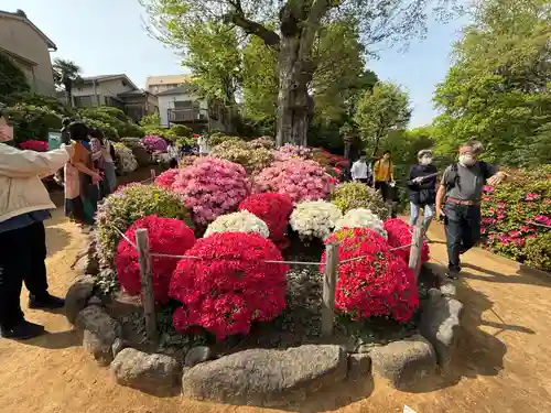 根津神社(東京都)