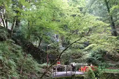 鞍馬寺(京都府)