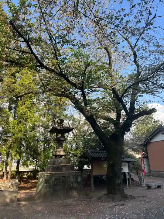倭文神社(群馬県)