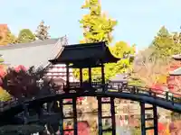 永保寺(岐阜県)