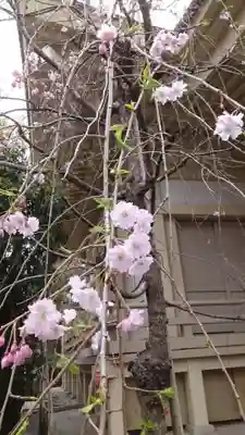矢先稲荷神社(東京都)