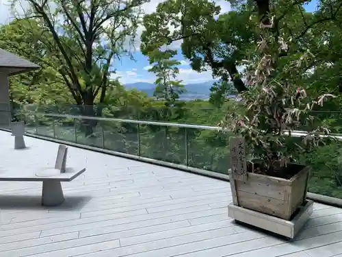 宝満宮竈門神社のおみくじ