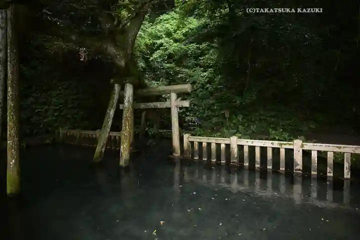 鹿島神宮(茨城県)