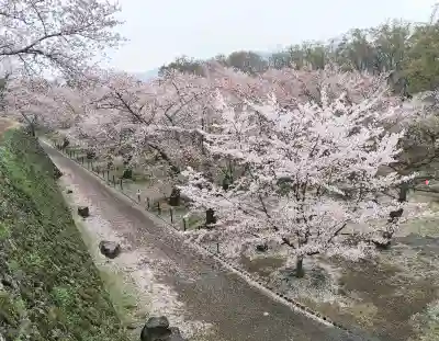 懐古神社の{uncategorized: "未分類", other: "その他", undefined: "問題あり", building: "その他建物", grave: "お墓", sacred_gate: "鳥居", guardian: "狛犬", statue: "像", buddha: "仏像", history: "歴史", nature: "自然", garden: "庭園", animal: "動物", pagoda: "塔", temizu: "手水舎", mountain_gate: "山門・神門", sanctuary: "本殿・本堂", subordinate: "末社・摂社", art: "芸術", scenery: "景色", jizo: "地蔵", ema: "絵馬", goshuin: "御朱印", omikuji: "おみくじ", items: "授与品その他", amulet: "お守り", goshuincho: "御朱印帳", eats: "食事", festival: "お祭り", votive_dance: "神楽", shichigosan: "七五三参", wedding: "結婚式", experience: "体験その他", initially: "初詣", around: "周辺", anti_infection: "感染症対策"}