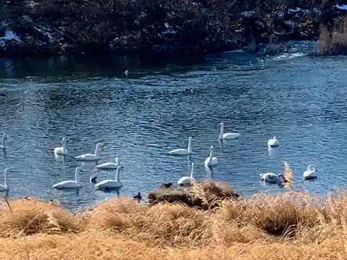 橋姫明神(宮城県)