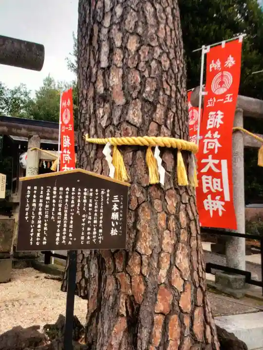 中野沼袋氷川神社(東京都)