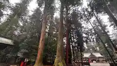 伊和神社(兵庫県)