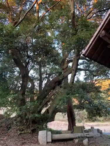 稲荷神社の自然