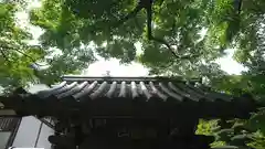 華厳寺（鈴虫寺）(京都府)