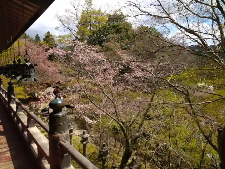 談山神社(奈良県)
