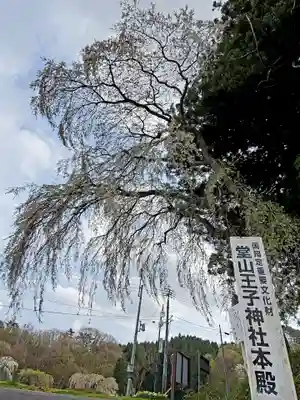 堂山王子神社のその他建物