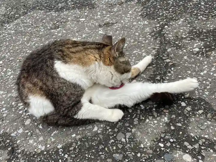 白山神社(東京都)