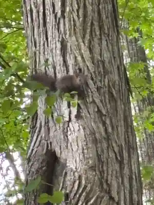 置戸神社(北海道)