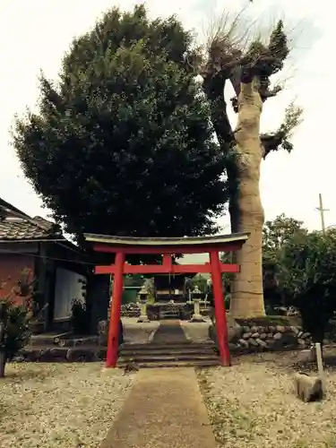 五明稲荷神社の鳥居