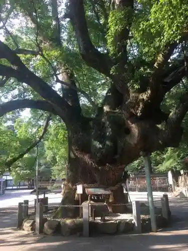 大麻比古神社の庭園