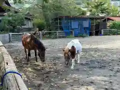 小室浅間神社(山梨県)