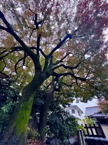 斎明神社(京都府)