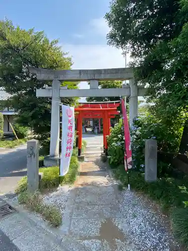 天明稲荷神社の鳥居