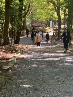 日吉大社(滋賀県)