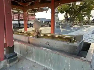 東寺（教王護国寺）の{uncategorized: "未分類", other: "その他", undefined: "問題あり", building: "その他建物", grave: "お墓", sacred_gate: "鳥居", guardian: "狛犬", statue: "像", buddha: "仏像", history: "歴史", nature: "自然", garden: "庭園", animal: "動物", pagoda: "塔", temizu: "手水舎", mountain_gate: "山門・神門", sanctuary: "本殿・本堂", subordinate: "末社・摂社", art: "芸術", scenery: "景色", jizo: "地蔵", ema: "絵馬", goshuin: "御朱印", omikuji: "おみくじ", items: "授与品その他", amulet: "お守り", goshuincho: "御朱印帳", eats: "食事", festival: "お祭り", votive_dance: "神楽", shichigosan: "七五三参", wedding: "結婚式", experience: "体験その他", initially: "初詣", around: "周辺", anti_infection: "感染症対策"}