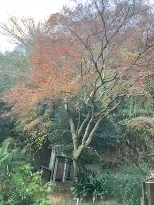 円光寺(神奈川県)
